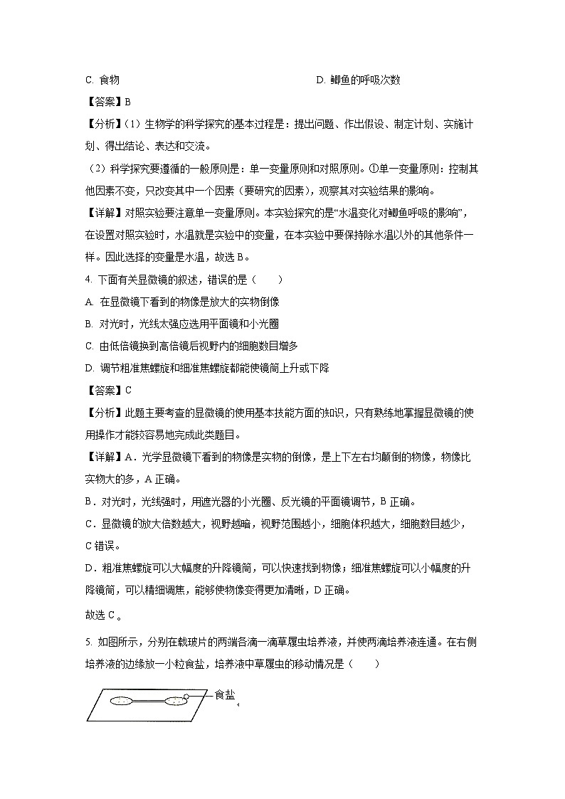 2023~2024学年山东省枣庄市薛城区七年级(上)期中生物试卷(解析版)第2页