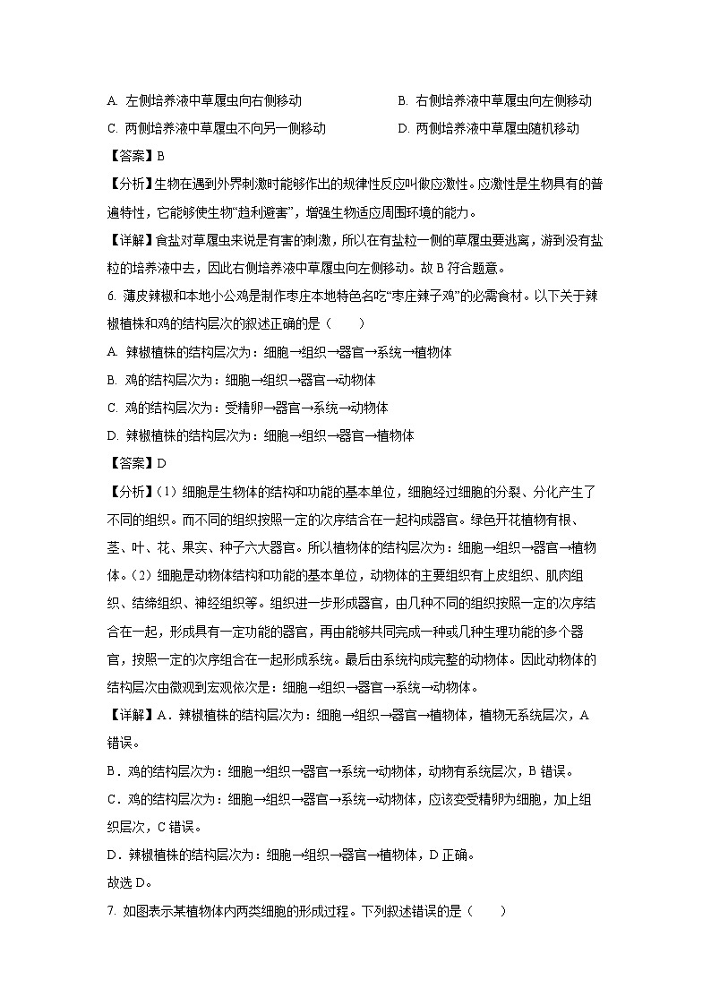 2023~2024学年山东省枣庄市薛城区七年级(上)期中生物试卷(解析版)第3页