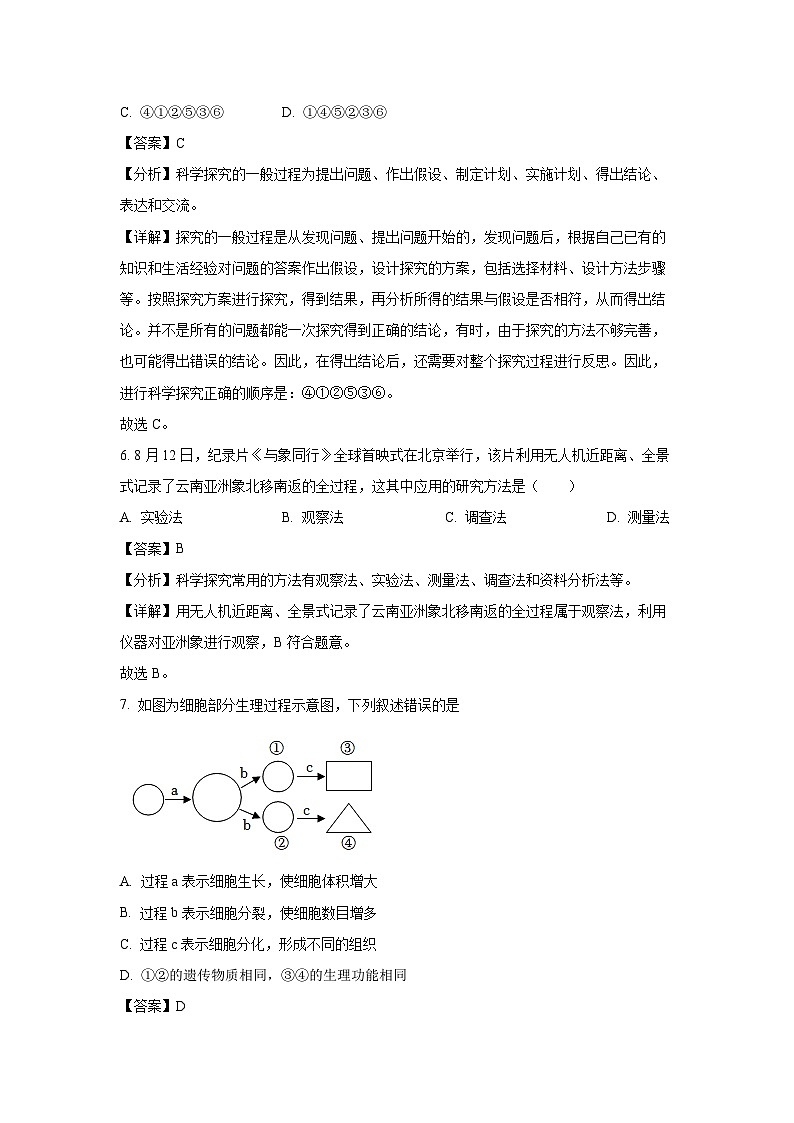 2023~2024学年山东省枣庄市台儿庄区七年级(上)期中考试生物试卷(解析版)第3页