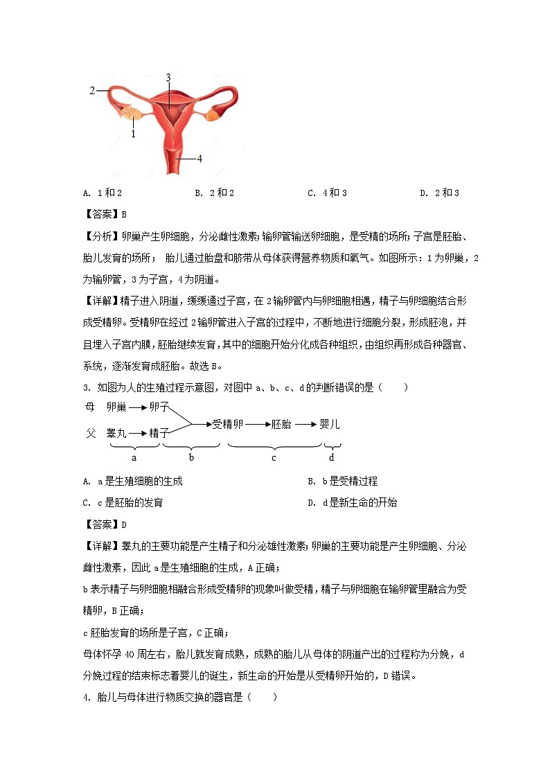 2023~2024学年山东省威海市经济技术开发区经区初中期中联考七年级(上)期中生物试卷(解析版)第2页