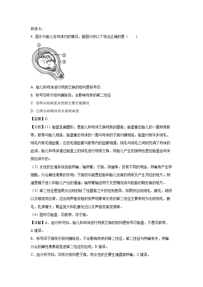 2023~2024学年山东省东营市河口区五校联盟七年级(上)期中考试生物试卷(解析版)第3页