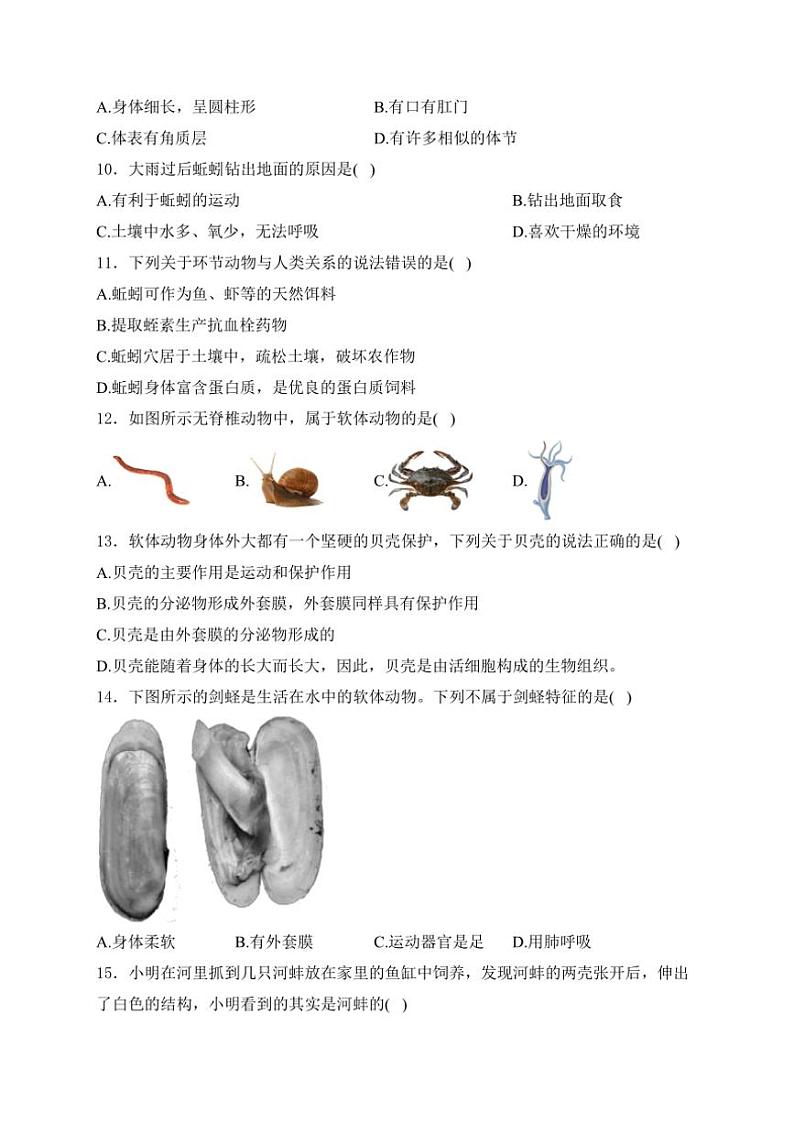 2024～2025学年云南省昭通市昭阳区八年级(上)10月月考生物试卷(含答案)第2页