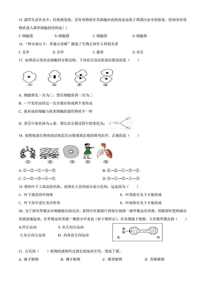 2023～2024学年内蒙古赤峰市敖汉旗下洼初级中学七年级(上)期末考试生物试卷(含答案)第3页