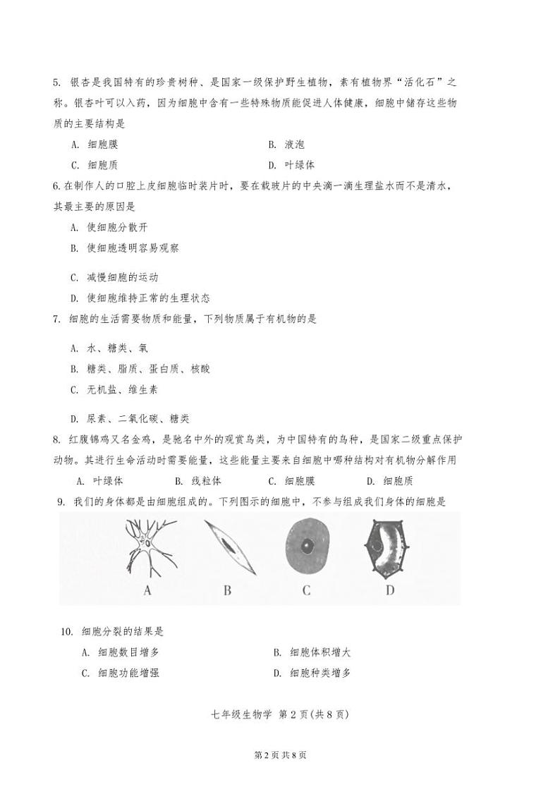 2024年天津市河北区七年级上期中生物试卷(无答案)第2页