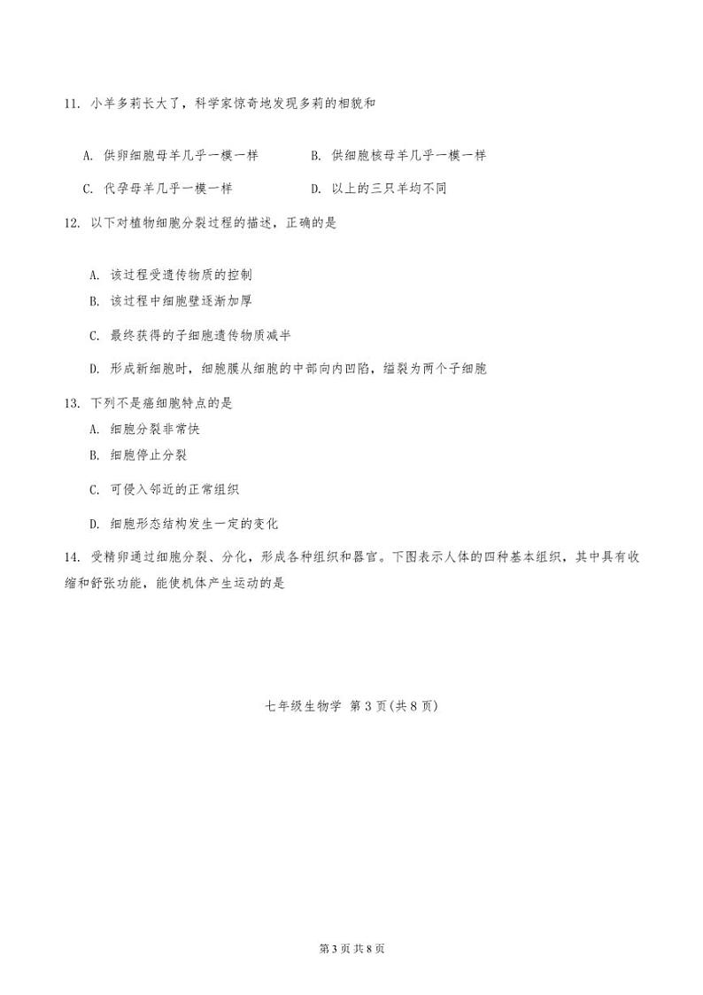 2024年天津市河北区七年级上期中生物试卷(无答案)第3页