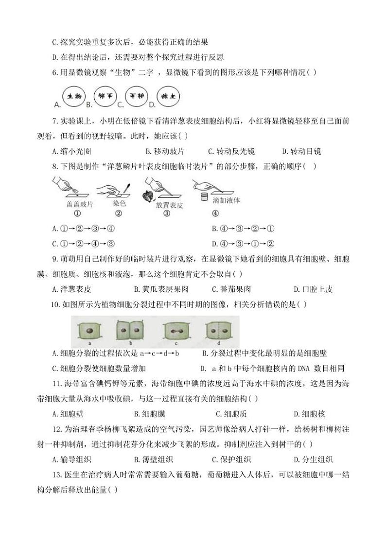 2024～2025学年河南省开封市杞县七年级(上)期中生物试卷(含答案)第2页