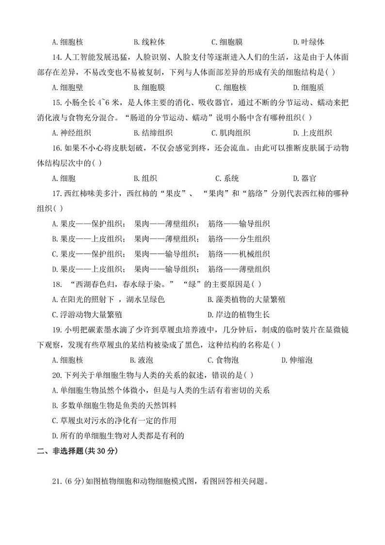 2024～2025学年河南省开封市杞县七年级(上)期中生物试卷(含答案)第3页