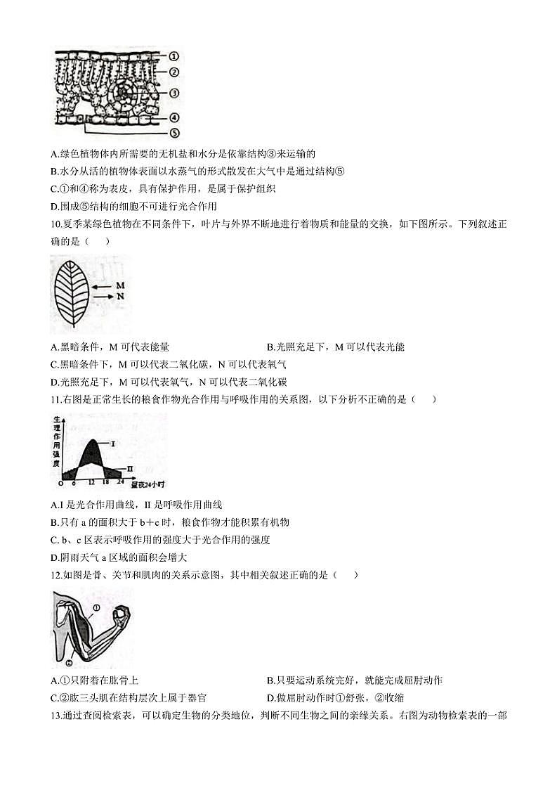 2024～2025学年山东省菏泽市牡丹区联考九年级(上)期中生物试卷(含答案)第3页