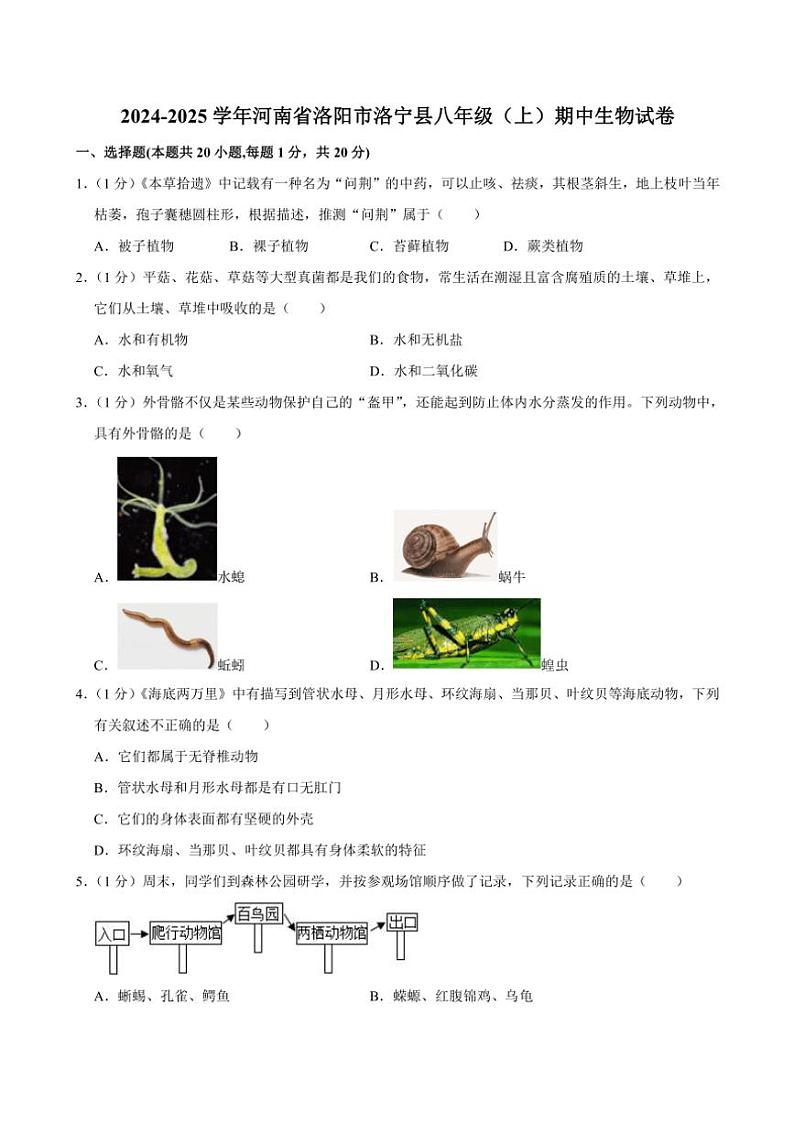 2024～2025学年河南省洛阳市洛宁县八年级(上)期中生物试卷(含解析)第1页