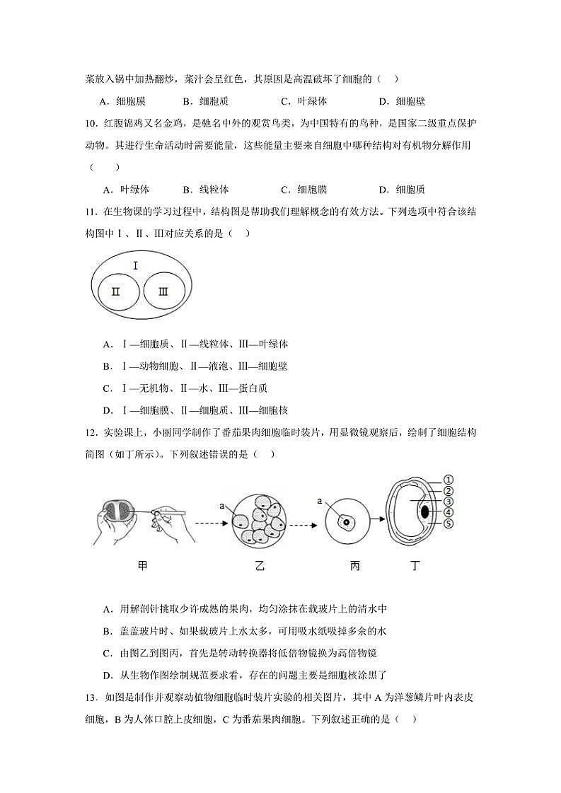 2024～2025学年广东省揭阳市普宁市勤建学校七年级(上)期中生物试卷(含答案)第2页