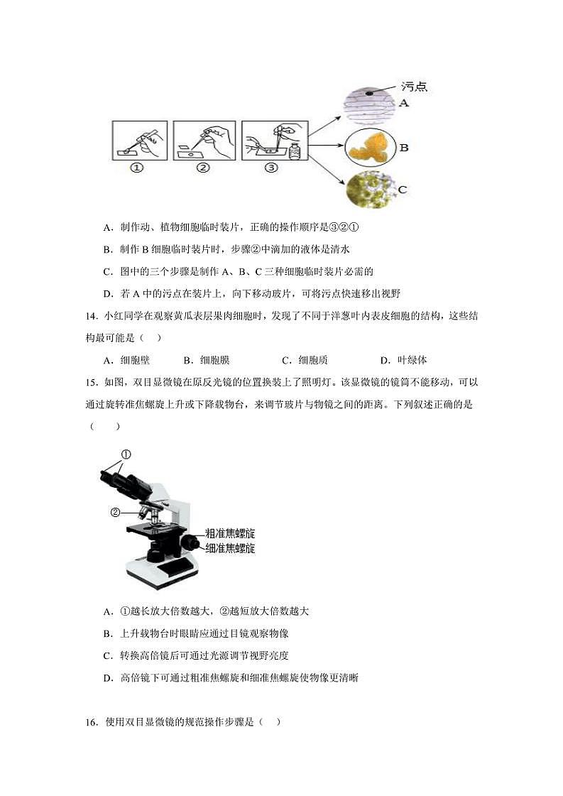 2024～2025学年广东省揭阳市普宁市勤建学校七年级(上)期中生物试卷(含答案)第3页