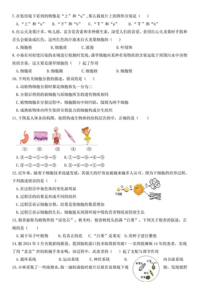 2024～2025学年四川省雅安中学七年级(上)期中教学质量评估生物试卷(含答案)第2页