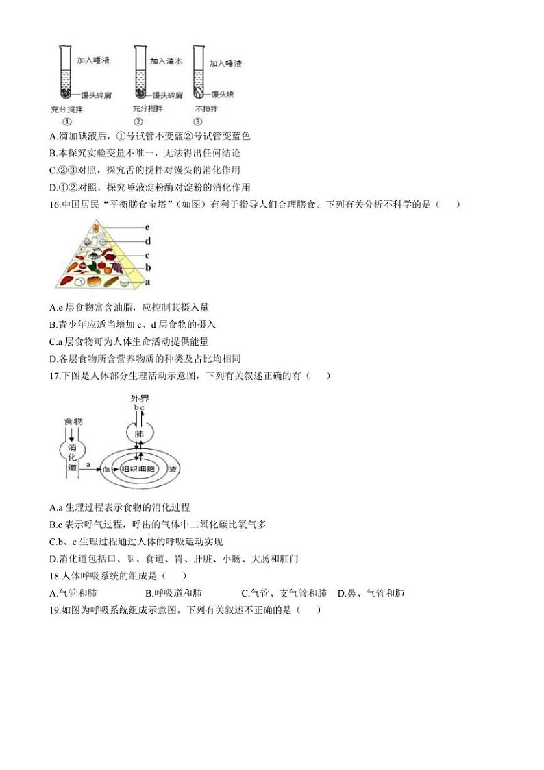 2024～2025学年山东省威海经济技术开发区七年级(上)期中生物试卷(含答案)第3页