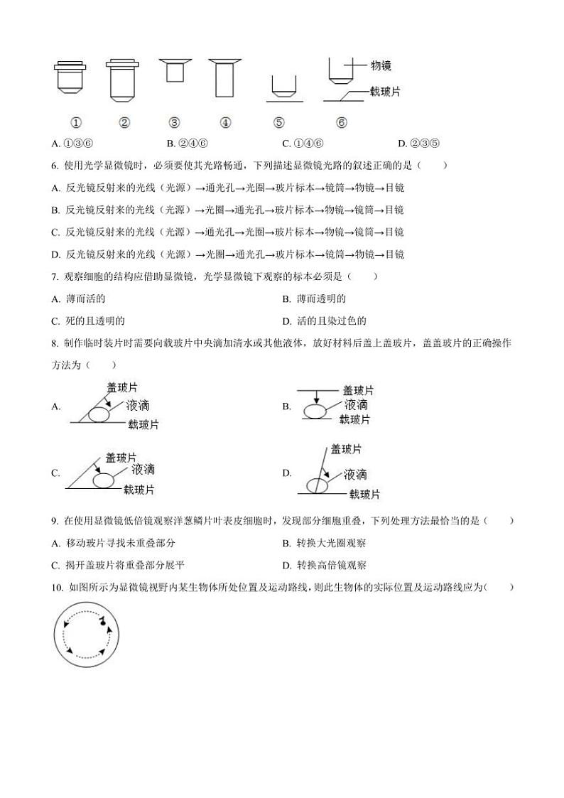 2024～2025学年山东省聊城市阳谷县七年级(上)期中生物试卷(含答案)第2页
