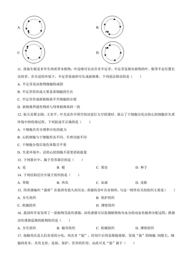 2024～2025学年山东省聊城市阳谷县七年级(上)期中生物试卷(含答案)第3页