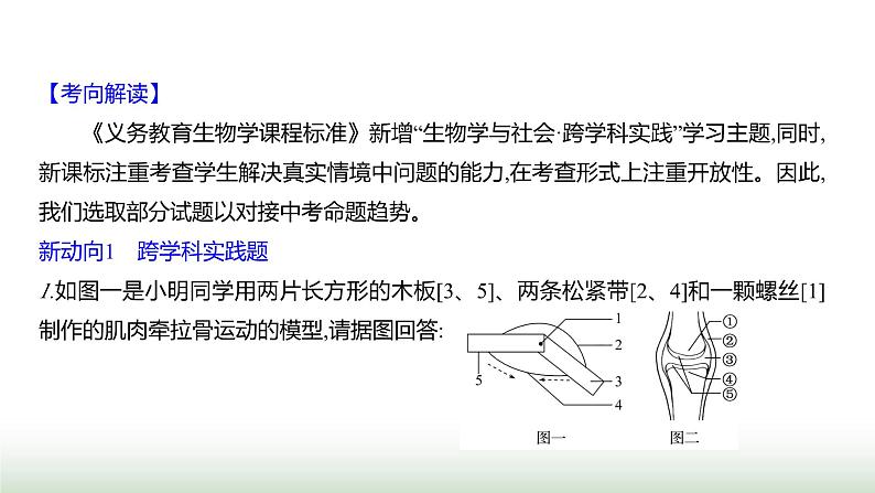 人教版八年级生物上册中考新动向课件第2页