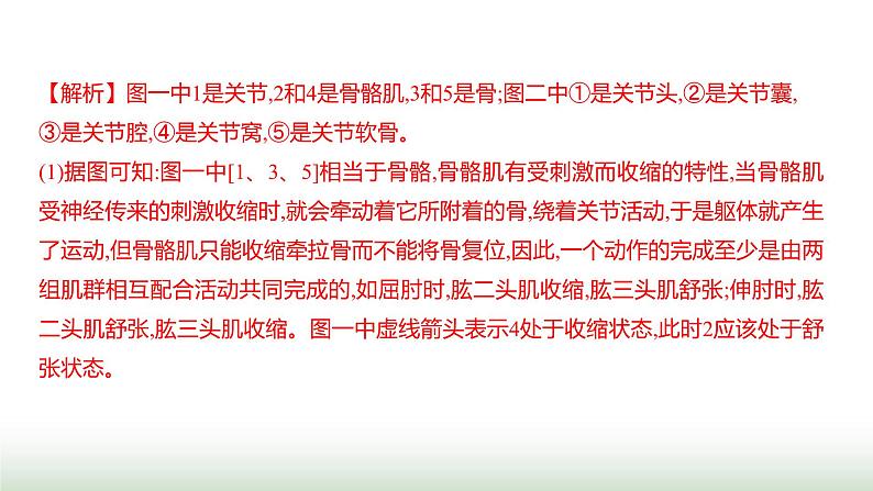 人教版八年级生物上册中考新动向课件第4页