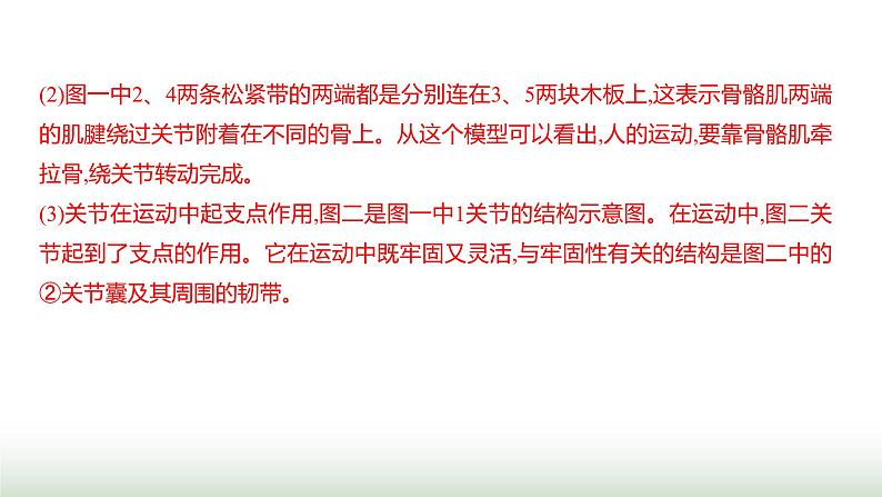 人教版八年级生物上册中考新动向课件第5页