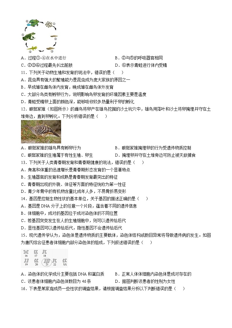 山东省潍坊市安丘市2024-2025学年八年级上学期期中生物试题(无答案)第3页