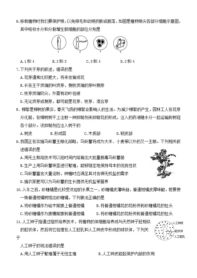 （教研室提供）山东省济南市天桥区2024-2025学年八年级上学期期中考试生物试题第2页
