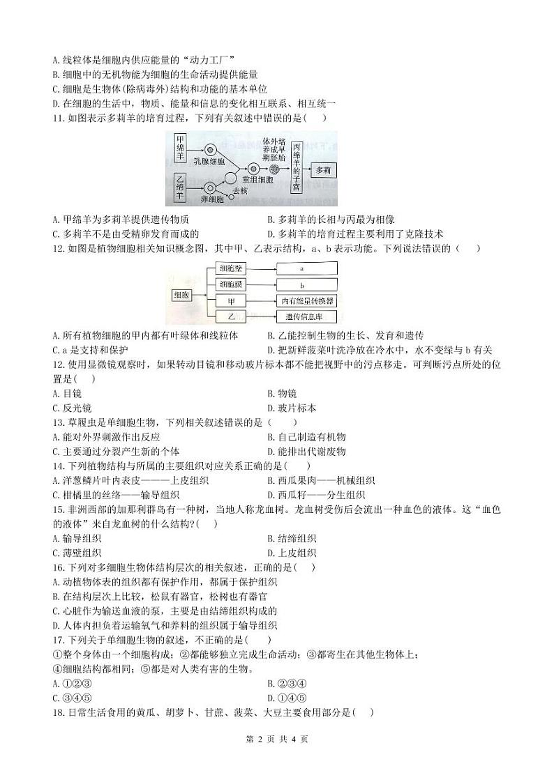 四川省广元市苍溪县2024-2025学年七年级上学期期中检测生物试题第2页