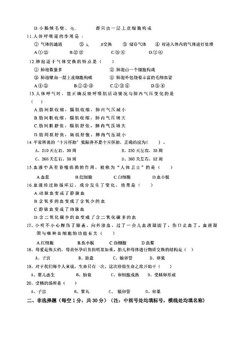 2024年哈尔滨市萧红中学八年级（上）11月月考生物试题及答案11.28第2页