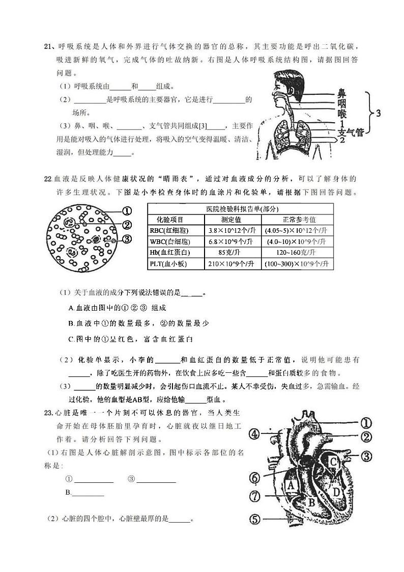 2024年哈尔滨市萧红中学八年级（上）11月月考生物试题及答案11.28第3页