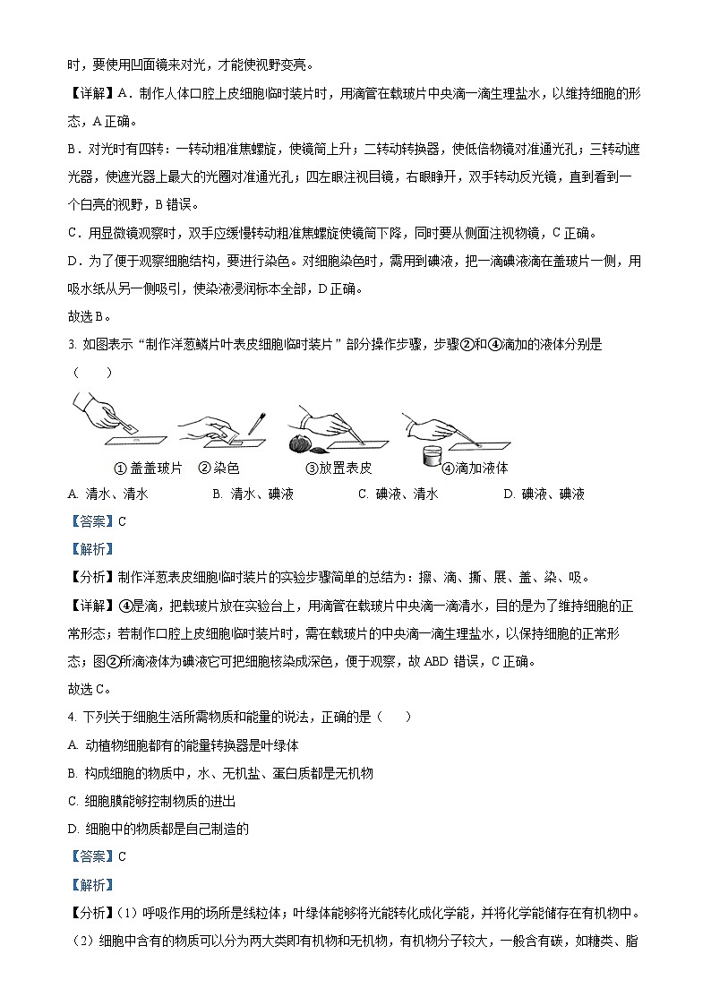 广东省东莞市塘厦初级中学2024-2025学年七年级上学期期中生物学试题（解析版）-A4第2页