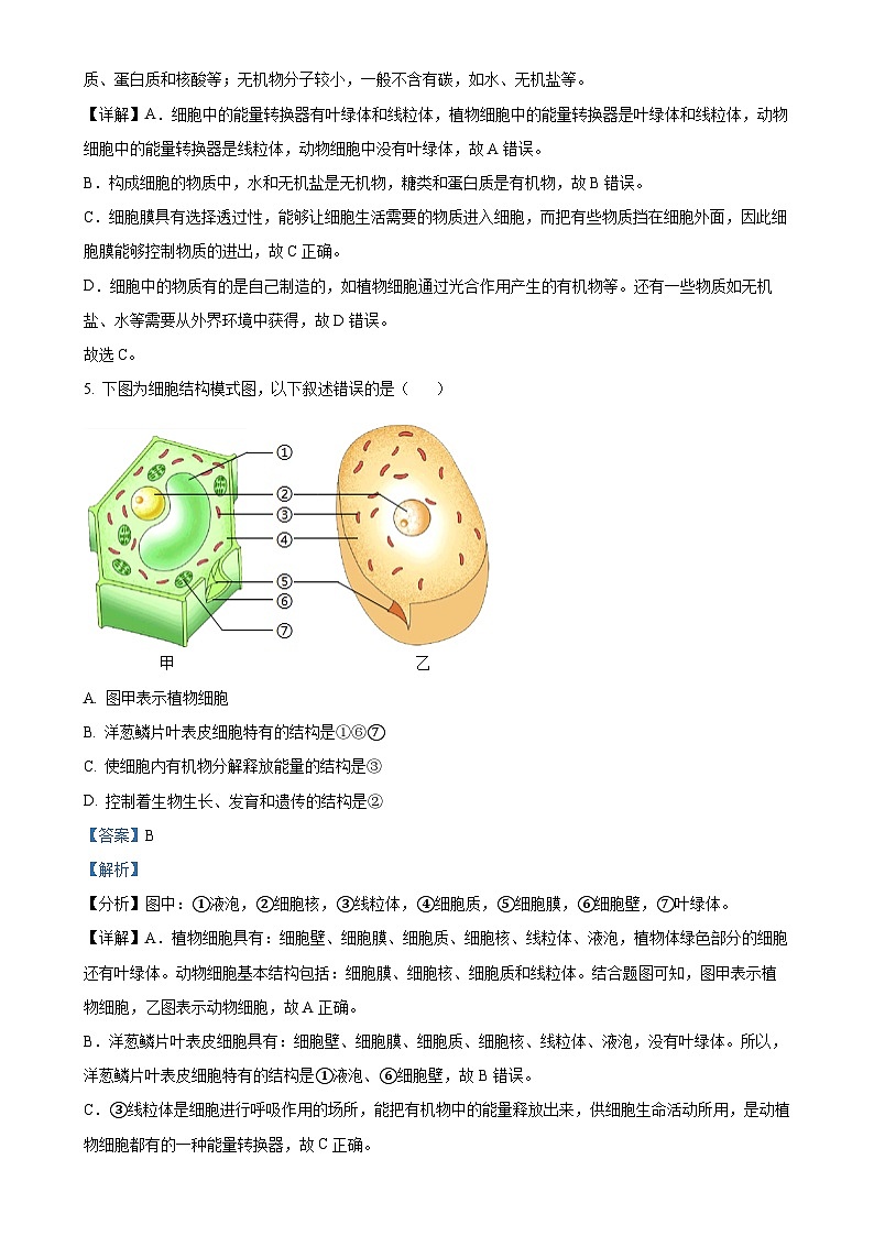 广东省东莞市塘厦初级中学2024-2025学年七年级上学期期中生物学试题（解析版）-A4第3页