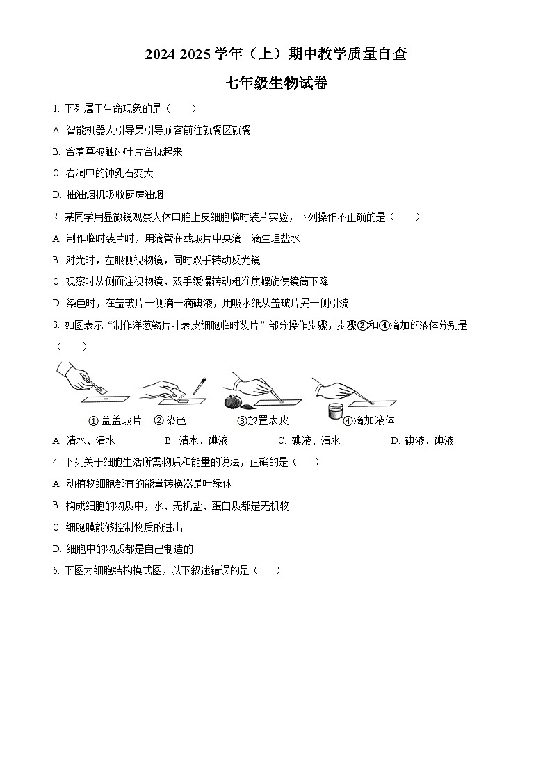 广东省东莞市塘厦初级中学2024-2025学年七年级上学期期中生物学试题（原卷版）-A4第1页