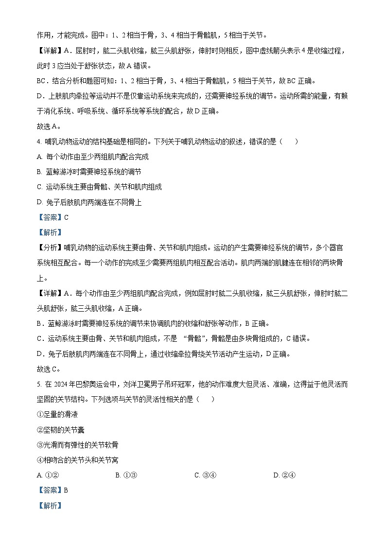河北省廊坊市霸州市2024-2025学年八年级上学期期中生物试题（解析版）-A4第3页