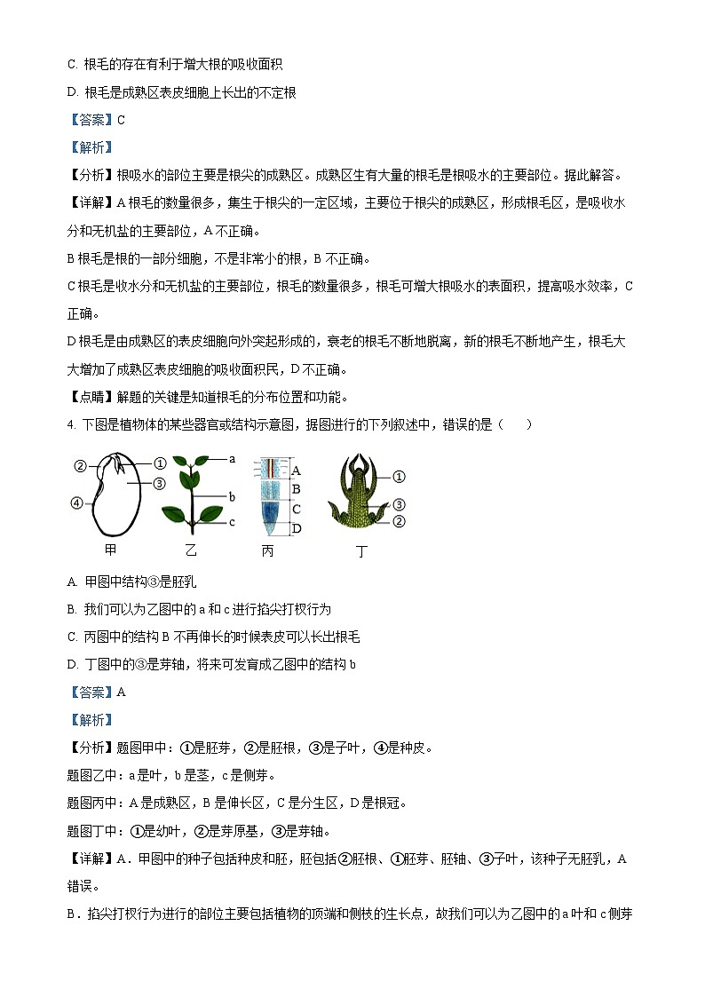河北省唐山市古冶区2024——2025学年八年级上学期期中生物试题（解析版）-A4第3页