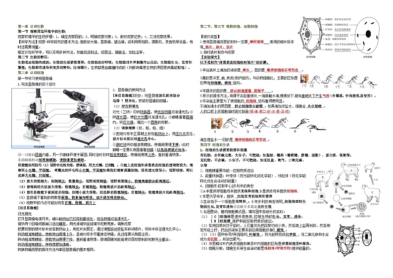 七年级上册生物学期中复习必背知识点（人教版2024新教材）第1页