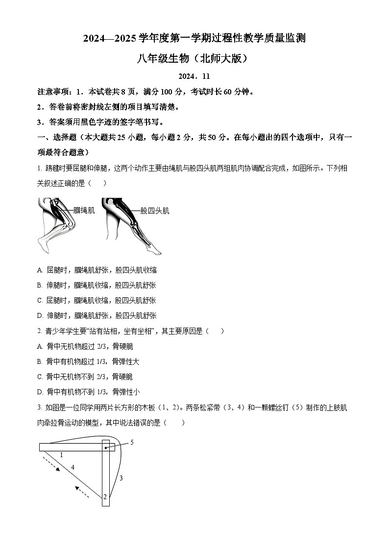 河北省廊坊市霸州市2024-2025学年八年级上学期期中生物试题（原卷版）-A4第1页
