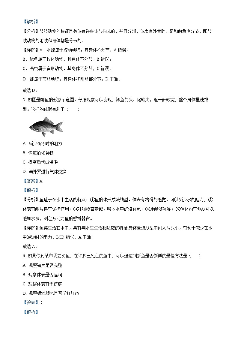 河北省唐山市滦州市2024-2025学年八年级上学期期中生物试题（解析版）-A4第3页