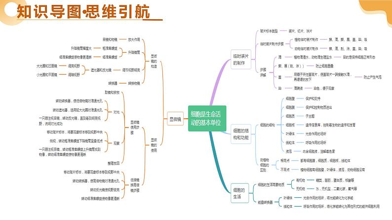 第01讲 细胞是生命活动的基本单位（精讲课件）-2025年中考生物一轮复习（江苏专用）第4页