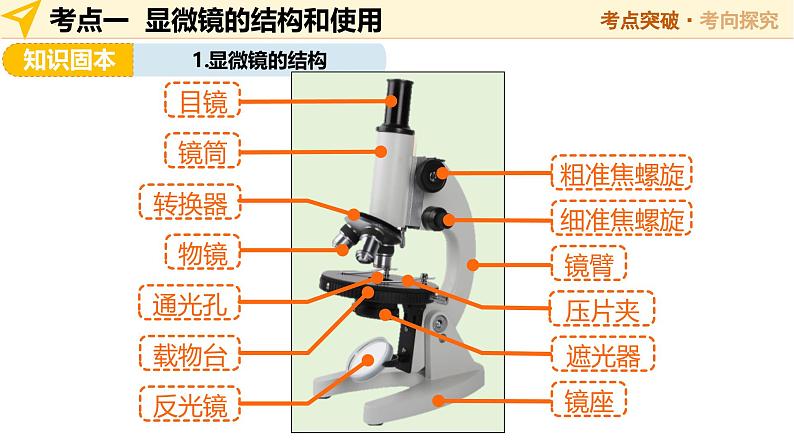 第01讲 细胞是生命活动的基本单位（精讲课件）-2025年中考生物一轮复习（江苏专用）第6页