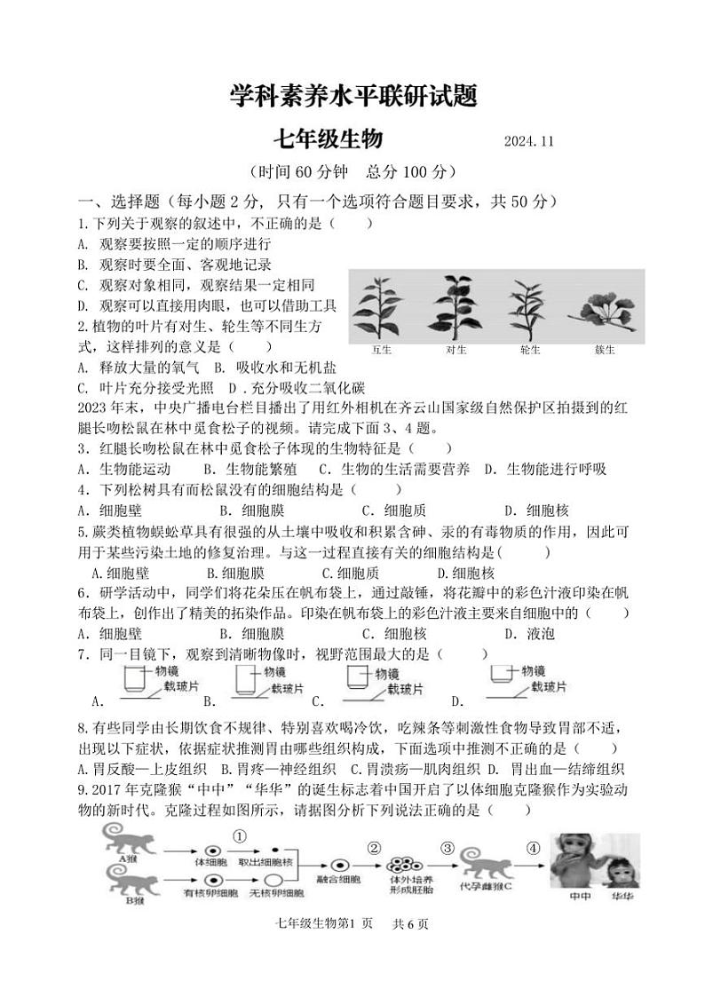 山东省临沂市罗庄区2024～2025学年七年级(上)期中生物试卷(含答案)第1页