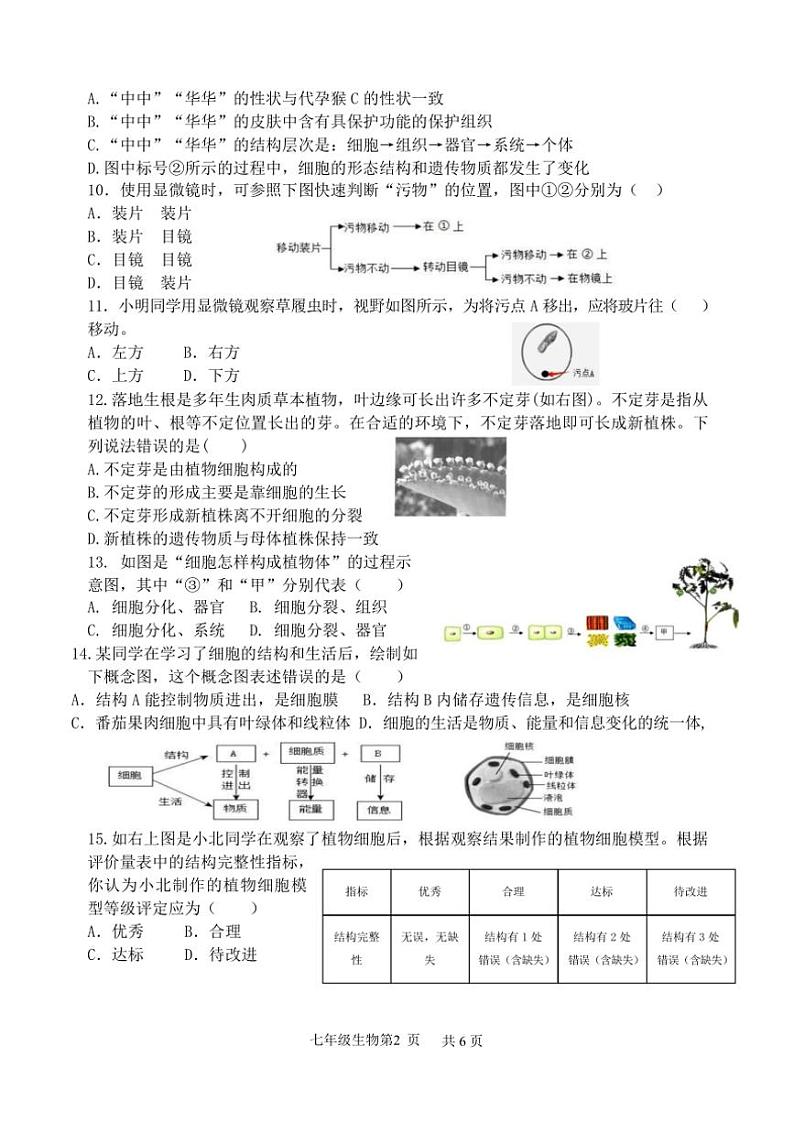 山东省临沂市罗庄区2024～2025学年七年级(上)期中生物试卷(含答案)第2页