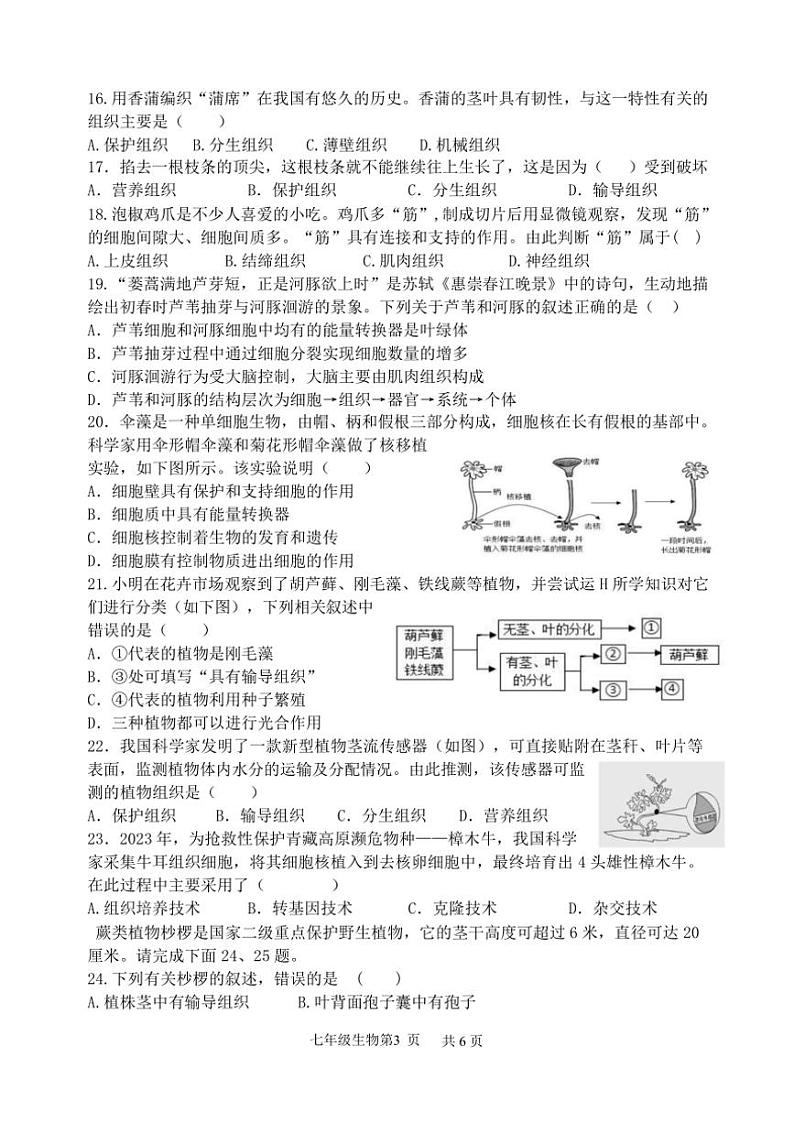 山东省临沂市罗庄区2024～2025学年七年级(上)期中生物试卷(含答案)第3页