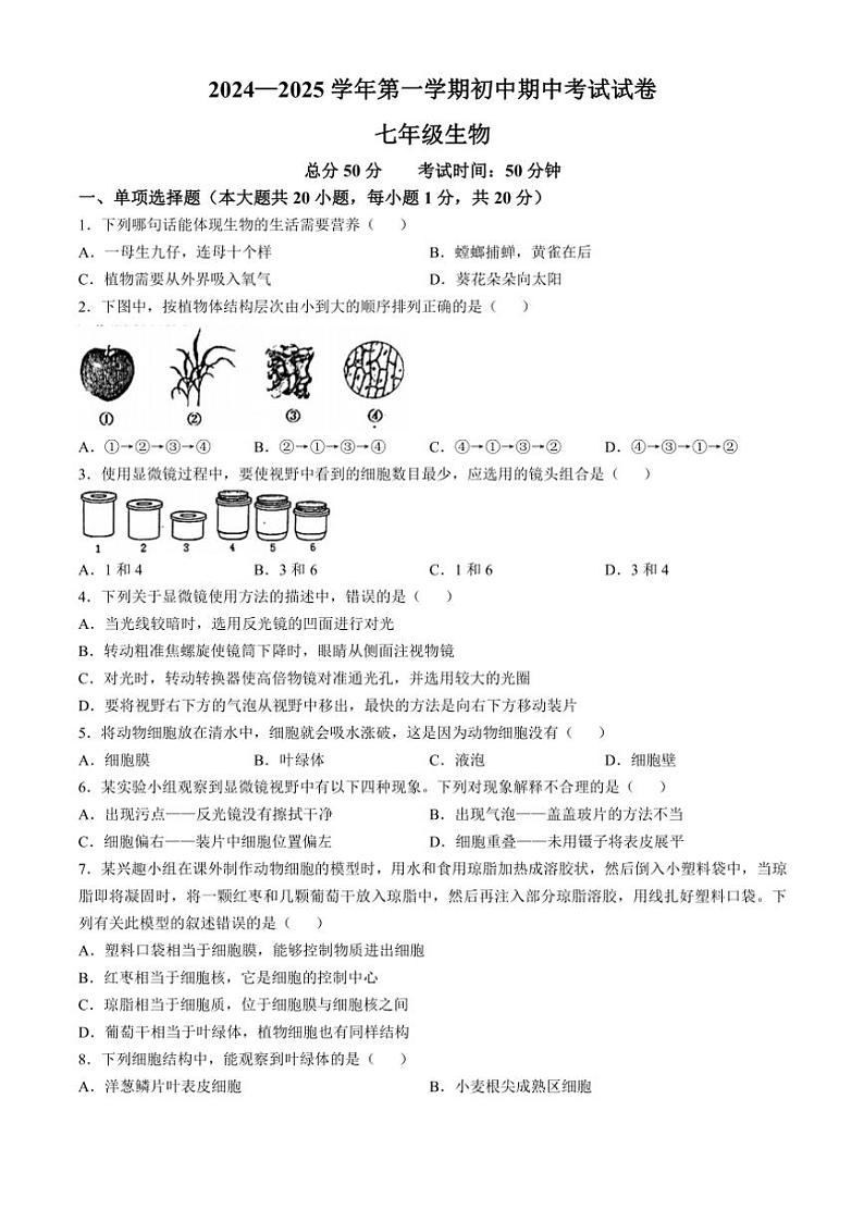 江西省赣州市龙南市2024～2025学年七年级(上)期中生物试卷(含答案)第1页