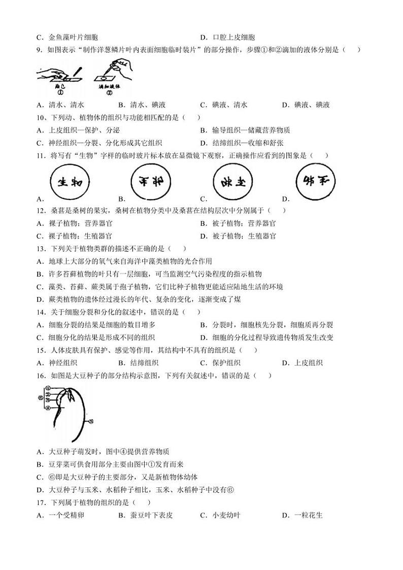 江西省赣州市龙南市2024～2025学年七年级(上)期中生物试卷(含答案)第2页
