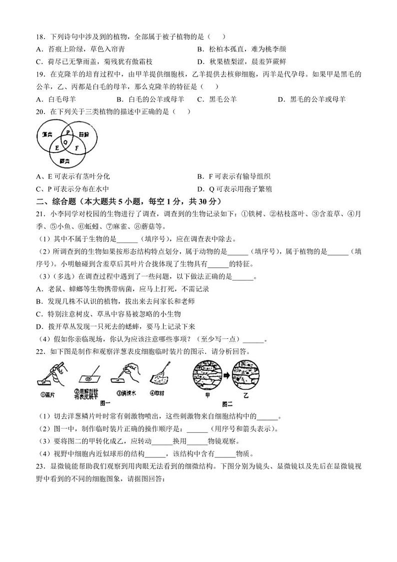 江西省赣州市龙南市2024～2025学年七年级(上)期中生物试卷(含答案)第3页