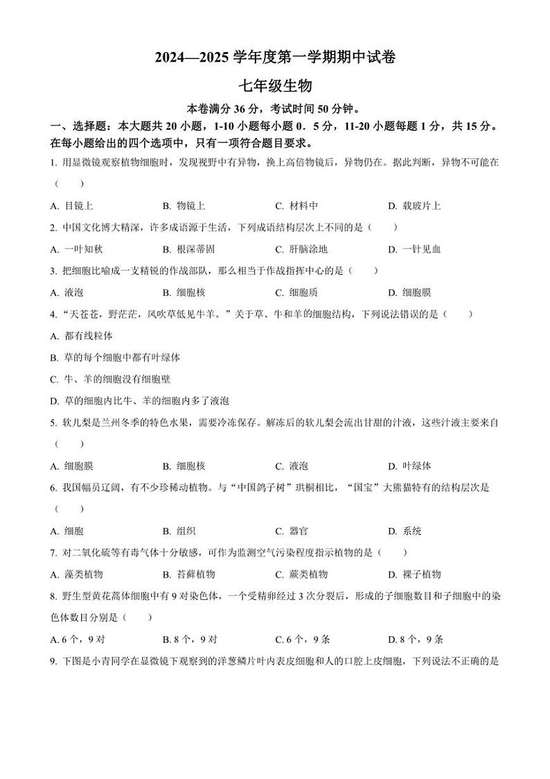 甘肃省兰州市第八十一中学2024～2025学年七年级(上)期中生物试卷(含答案)第1页
