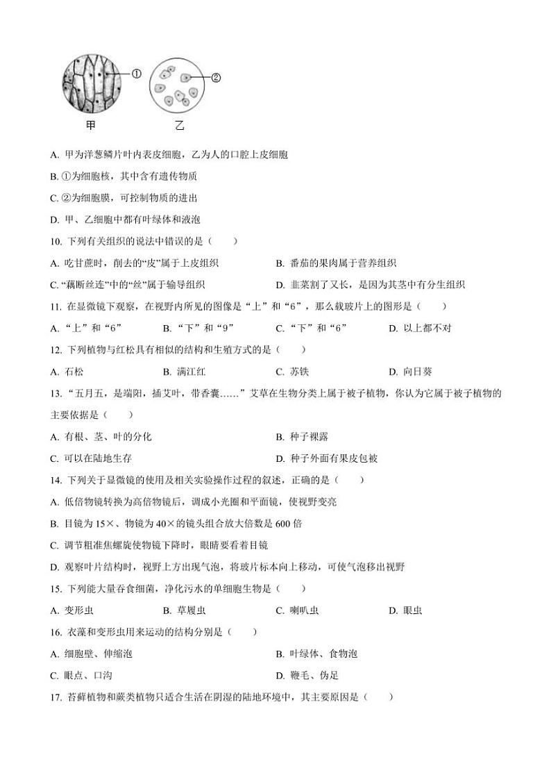 甘肃省兰州市第八十一中学2024～2025学年七年级(上)期中生物试卷(含答案)第2页