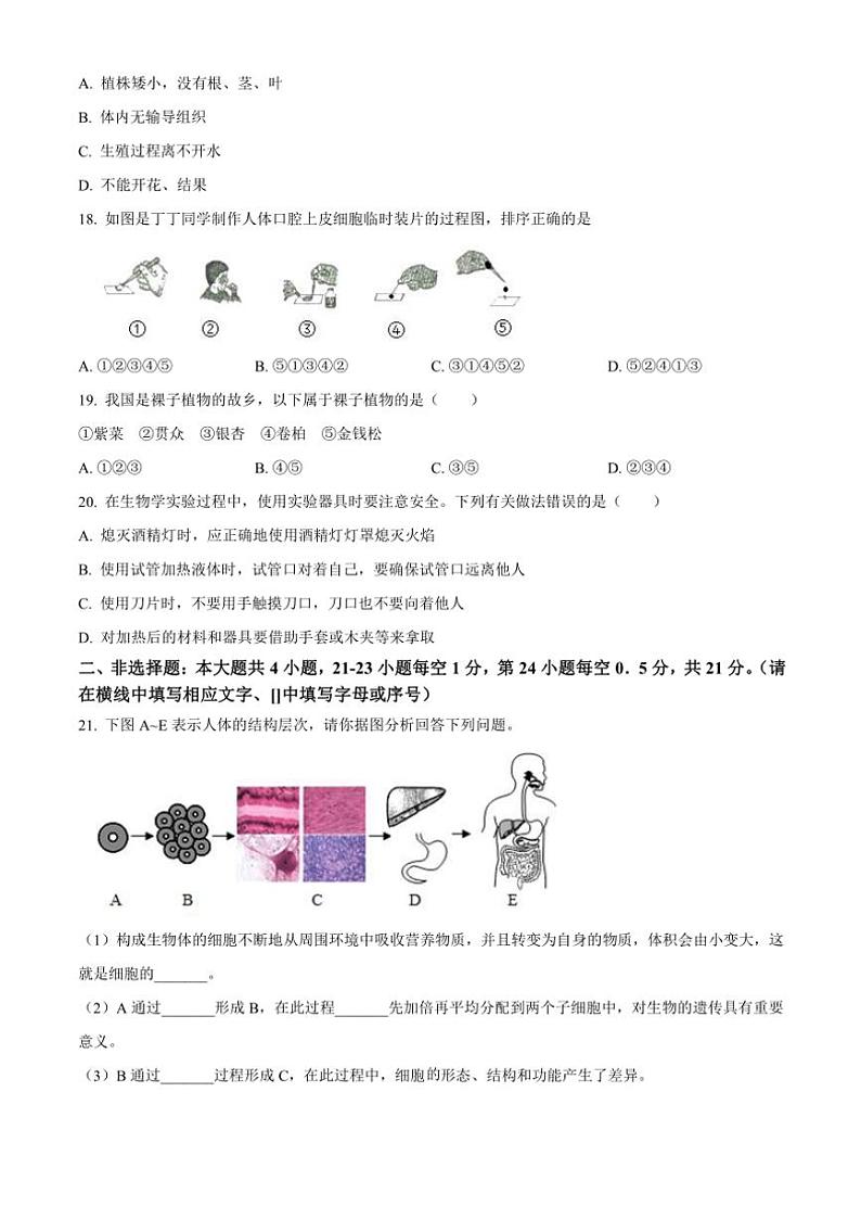 甘肃省兰州市第八十一中学2024～2025学年七年级(上)期中生物试卷(含答案)第3页