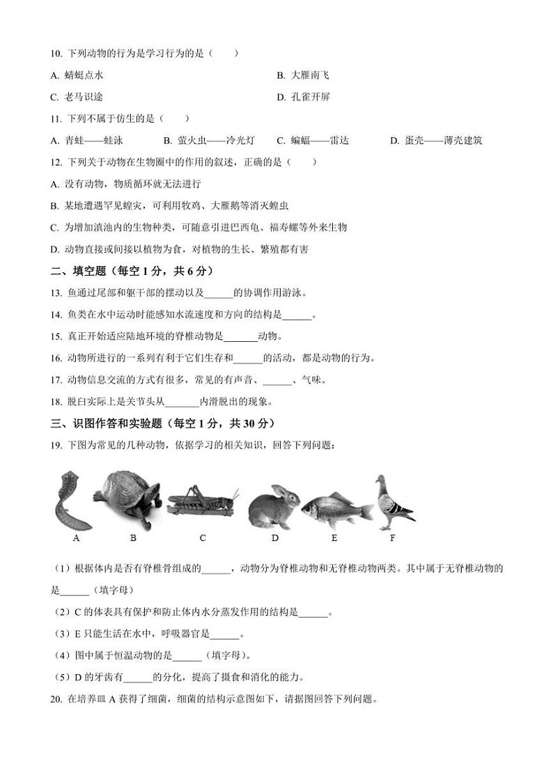 甘肃省定西市岷县2024～2025学年八年级(上)期中生物试卷(含答案)第2页