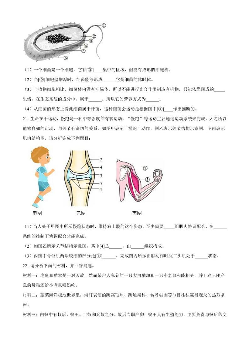 甘肃省定西市岷县2024～2025学年八年级(上)期中生物试卷(含答案)第3页