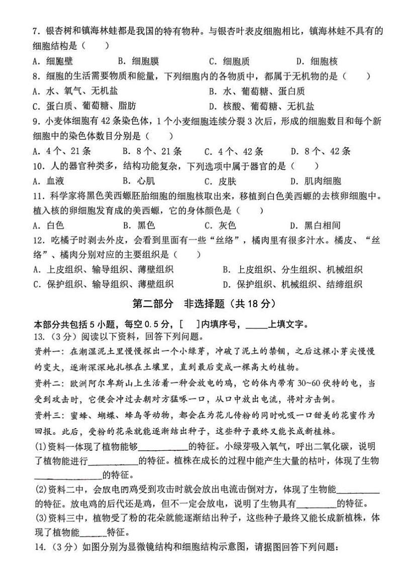 辽宁省大连市名校联盟2024年11月七年级(上)期中生物试卷(含答案)第2页