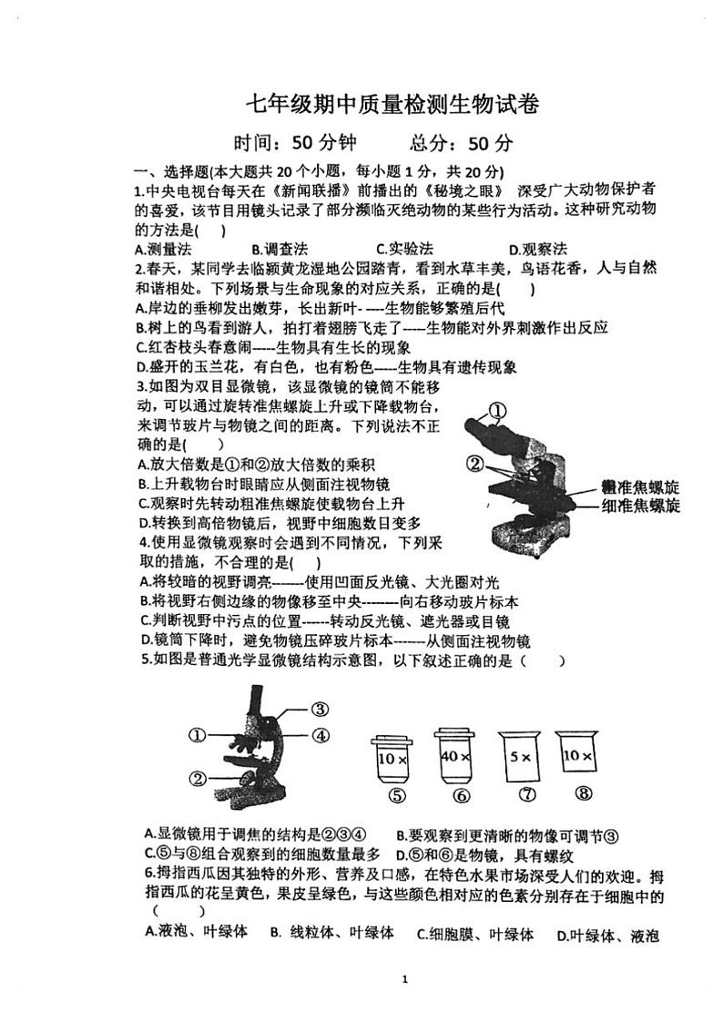 河南省漯河市实验中学2024～2025学年七年级(上)期中生物试卷(无答案)第1页